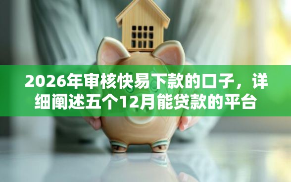 2026年审核快易下款的口子，详细阐述五个12月能贷款的平台