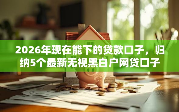 2026年现在能下的贷款口子，归纳5个最新无视黑白户网贷口子
