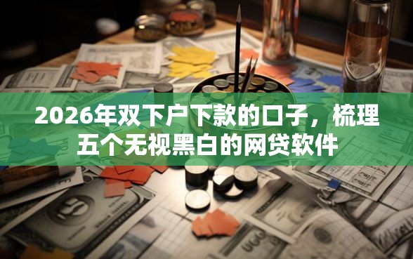 2026年双下户下款的口子，梳理五个无视黑白的网贷软件