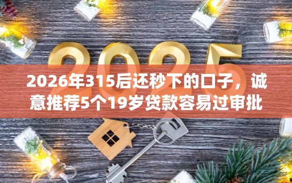 2026年315后还秒下的口子，诚意推荐5个19岁贷款容易过审批的app