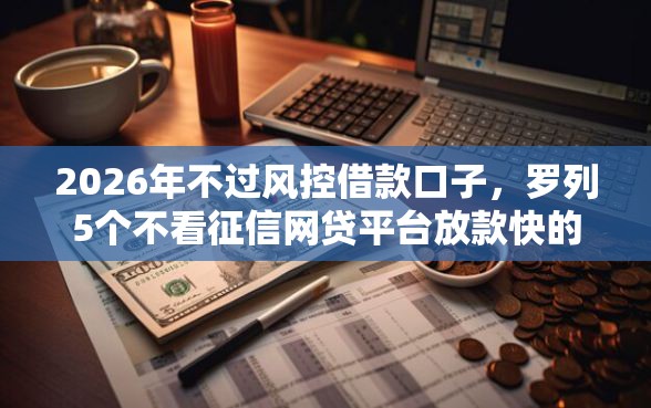 2026年不过风控借款口子，罗列5个不看征信网贷平台放款快的软件