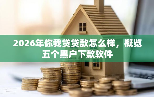 2026年你我贷贷款怎么样，概览五个黑户下款软件