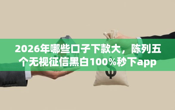 2026年哪些口子下款大，陈列五个无视征信黑白100%秒下app