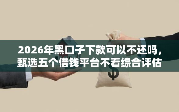 2026年黑口子下款可以不还吗，甄选五个借钱平台不看综合评估的口子