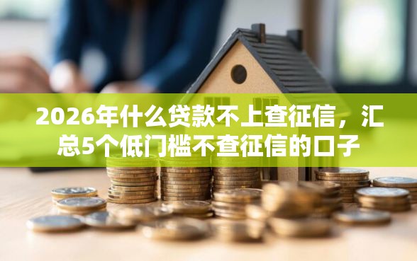 2026年什么贷款不上查征信，汇总5个低门槛不查征信的口子