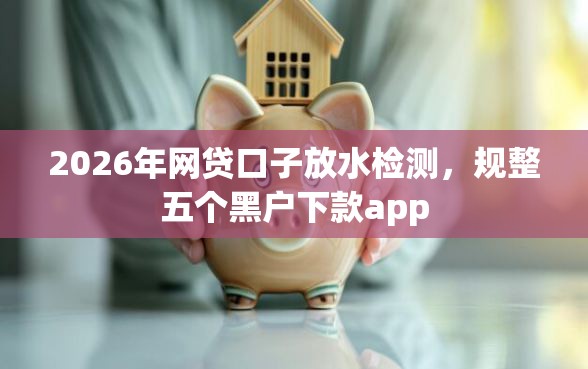 2026年网贷口子放水检测，规整五个黑户下款app