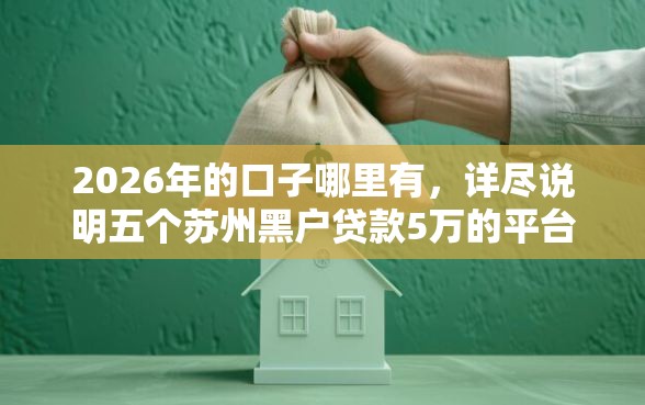 2026年的口子哪里有，详尽说明五个苏州黑户贷款5万的平台