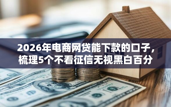 2026年电商网贷能下款的口子，梳理5个不看征信无视黑白百分百下款