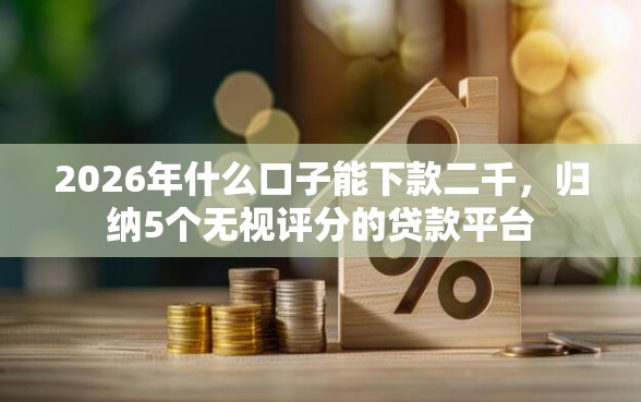 2026年什么口子能下款二千，归纳5个无视评分的贷款平台