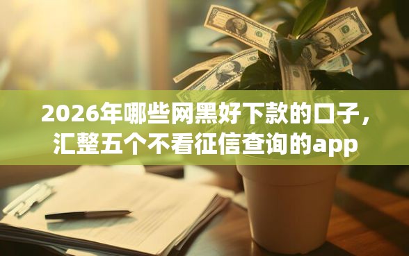 2026年哪些网黑好下款的口子，汇整五个不看征信查询的app