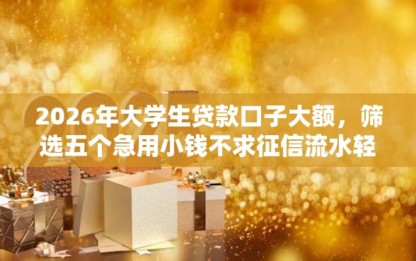 2026年大学生贷款口子大额,筛选五个急用小钱不求征信流水轻松贷的口子 2026年大学生贷款口子大额,筛选五个急用小钱不求征信流水轻松贷的口子