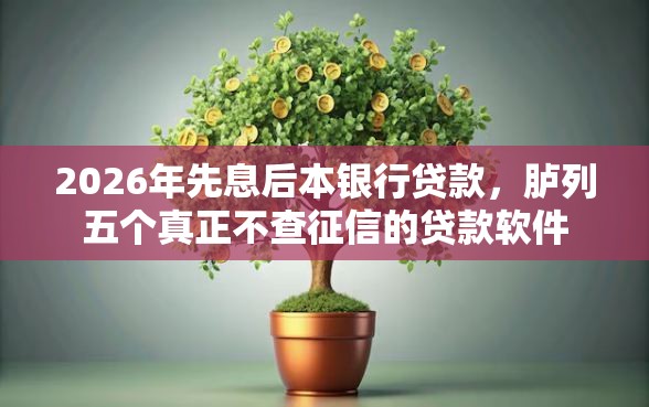 2026年先息后本银行贷款，胪列五个真正不查征信的贷款软件