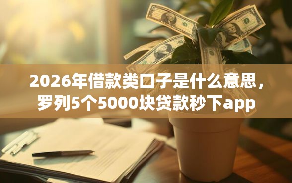 2026年借款类口子是什么意思，罗列5个5000块贷款秒下app
