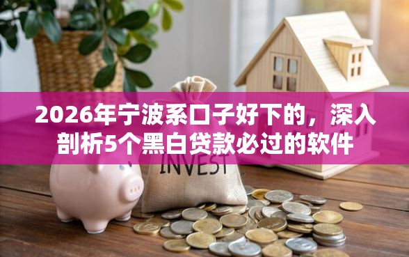 2026年宁波系口子好下的，深入剖析5个黑白贷款必过的软件