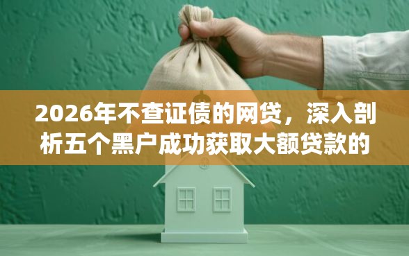2026年不查证债的网贷，深入剖析五个黑户成功获取大额贷款的app