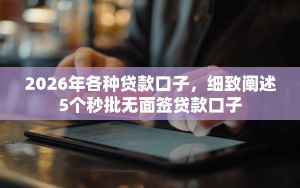 2026年各种贷款口子，细致阐述5个秒批无面签贷款口子