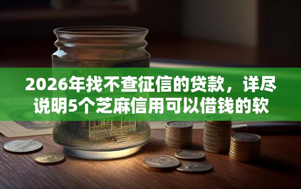 2026年找不查征信的贷款，详尽说明5个芝麻信用可以借钱的软件