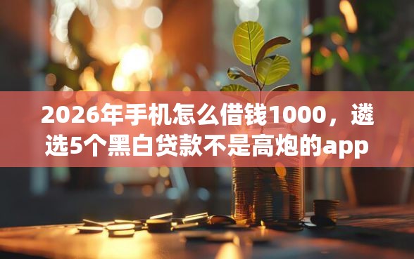 2026年手机怎么借钱1000，遴选5个黑白贷款不是高炮的app