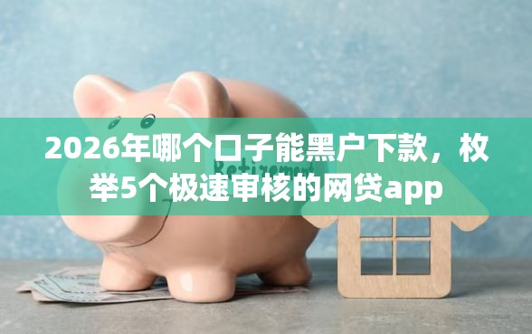 2026年哪个口子能黑户下款，枚举5个极速审核的网贷app