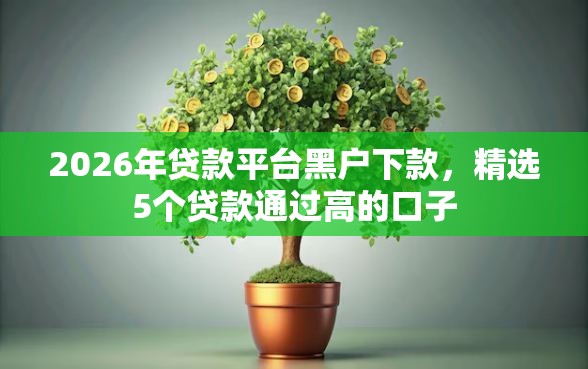 2026年贷款平台黑户下款，精选5个贷款通过高的口子