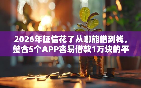 2026年征信花了从哪能借到钱，整合5个APP容易借款1万块的平台