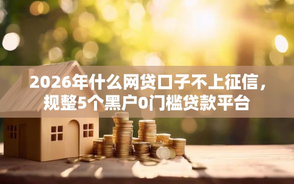 2026年什么网贷口子不上征信，规整5个黑户0门槛贷款平台