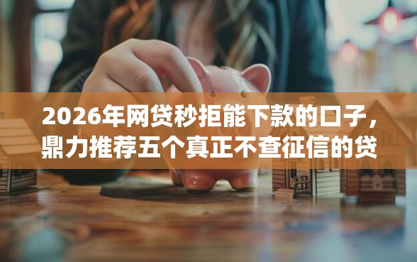 2026年网贷秒拒能下款的口子，鼎力推荐五个真正不查征信的贷款app