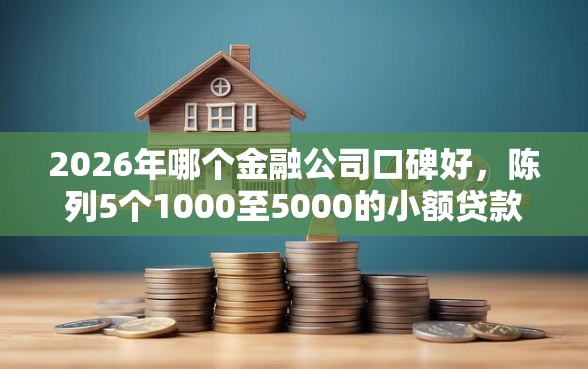 2026年哪个金融公司口碑好，陈列5个1000至5000的小额贷款平台
