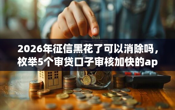 2026年征信黑花了可以消除吗，枚举5个审贷口子审核加快的app