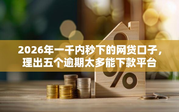 2026年一千内秒下的网贷口子，理出五个逾期太多能下款平台
