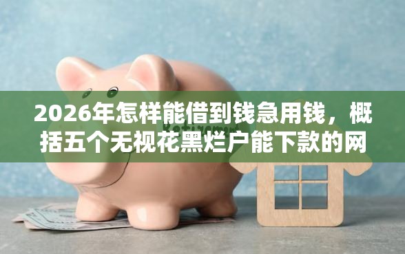 2026年怎样能借到钱急用钱，概括五个无视花黑烂户能下款的网贷
