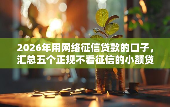 2026年用网络征信贷款的口子，汇总五个正规不看征信的小额贷款平台