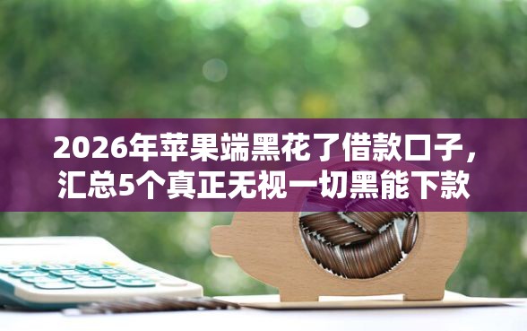 2026年苹果端黑花了借款口子，汇总5个真正无视一切黑能下款口子