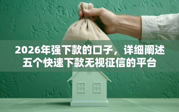 2026年强下款的口子，详细阐述五个快速下款无视征信的平台
