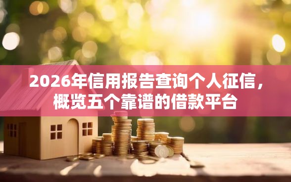 2026年信用报告查询个人征信，概览五个靠谱的借款平台
