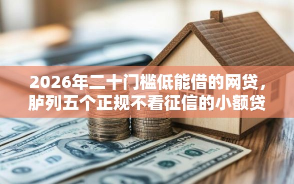 2026年二十门槛低能借的网贷,胪列五个正规不看征信的小额贷款平台 2026年二十门槛低能借的网贷,胪列五个正规不看征信的小额贷款平台