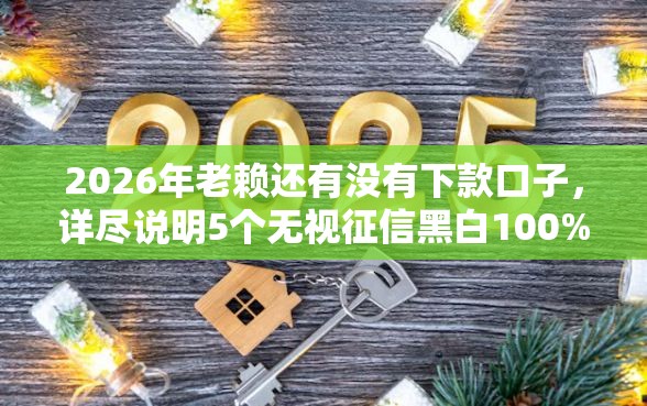 2026年老赖还有没有下款口子，详尽说明5个无视征信黑白100%秒下平台