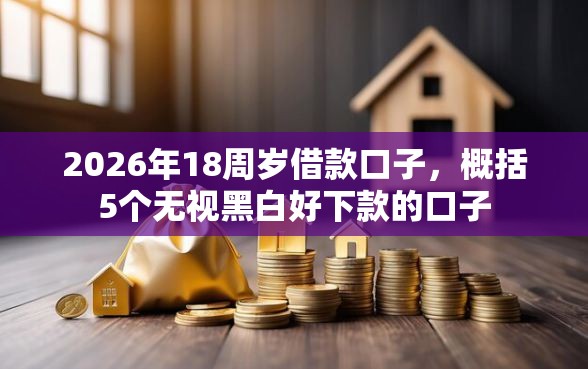2026年18周岁借款口子，概括5个无视黑白好下款的口子