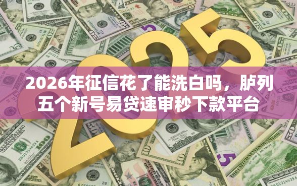 2026年征信花了能洗白吗，胪列五个新号易贷速审秒下款平台