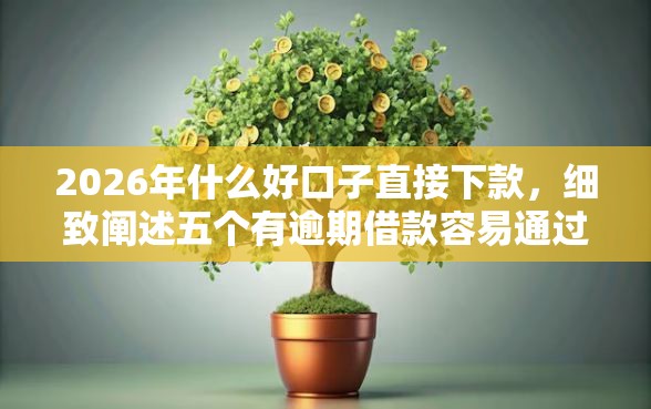 2026年什么好口子直接下款，细致阐述五个有逾期借款容易通过的平台