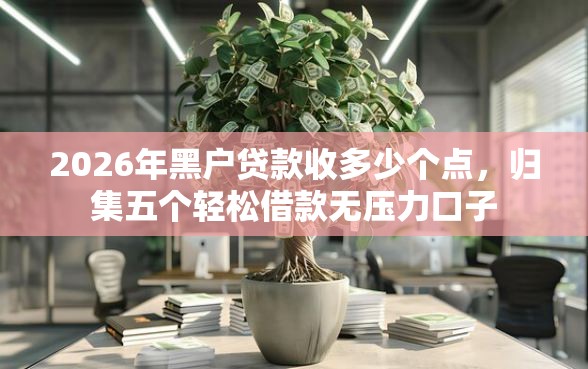 2026年黑户贷款收多少个点，归集五个轻松借款无压力口子