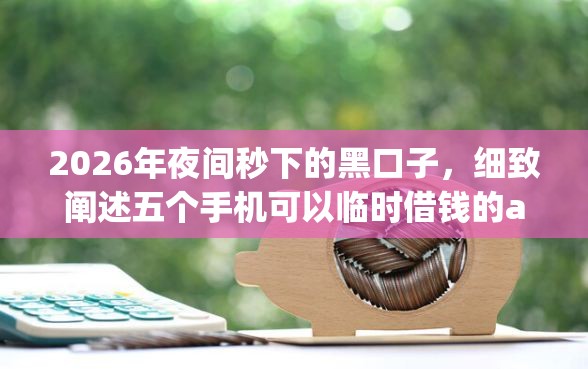 2026年夜间秒下的黑口子，细致阐述五个手机可以临时借钱的app