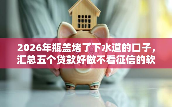 2026年瓶盖堵了下水道的口子，汇总五个贷款好做不看征信的软件