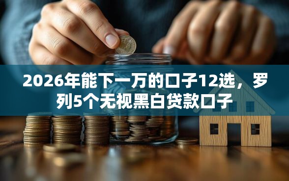 2026年能下一万的口子12选，罗列5个无视黑白贷款口子