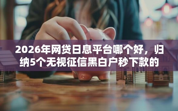 2026年网贷日息平台哪个好，归纳5个无视征信黑白户秒下款的贷款