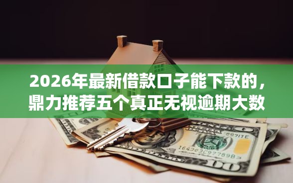 2026年最新借款口子能下款的，鼎力推荐五个真正无视逾期大数据的网贷app