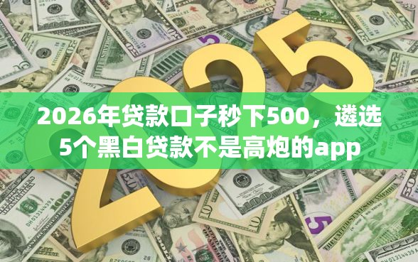 2026年贷款口子秒下500，遴选5个黑白贷款不是高炮的app
