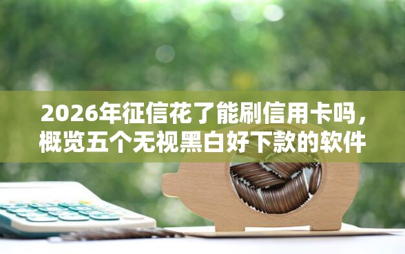 2026年征信花了能刷信用卡吗，概览五个无视黑白好下款的软件