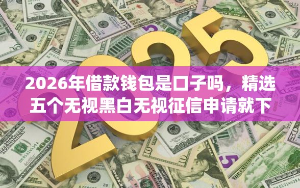 2026年借款钱包是口子吗，精选五个无视黑白无视征信申请就下款的app