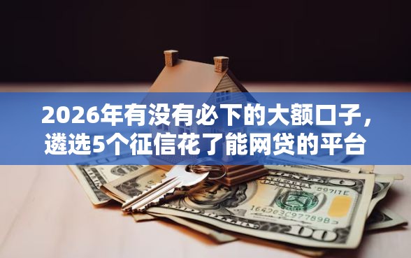 2026年有没有必下的大额口子，遴选5个征信花了能网贷的平台